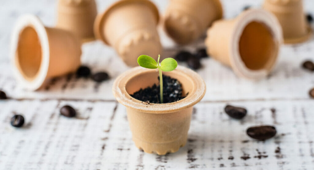 European Bioplastics begrüßt den Vorschlag der EU-Kommission, in Zukunft nur noch kompostierbare Kaffeekapseln zuzulassen.