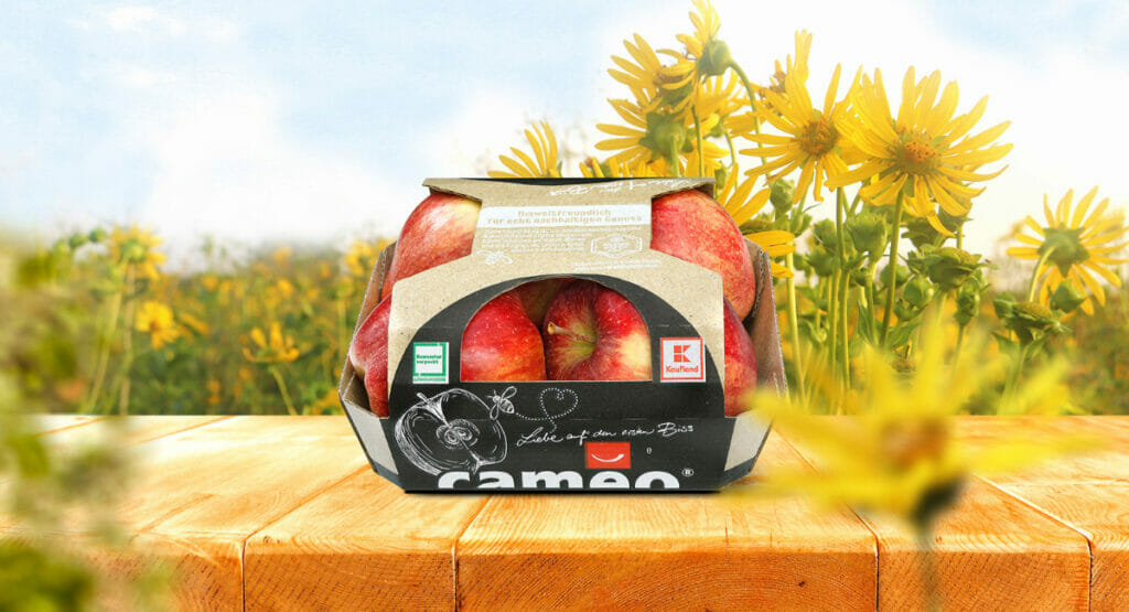 Kaufland Silphie Verpackung