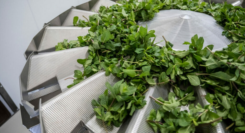 Multipond bringt Mehrkopfwägesysteme zur interpack mit.