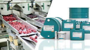 Aktuell stellt die Zertifizierung der amerikanischen NSF (National Sanitation Foundation) die international wichtigste Einstufung für lebensmitteltechnische Schmierstoffe dar. Alle Öle, Fette und Sprays der ADDINOL FoodProof Reihe sind gemäß NSF zertifiziert und somit für den Einsatz bei der Herstellung und Verpackung von Lebensmitteln und Getränken optimal geeignet. (Bild: ADDINOL Lube Oil GmbH)