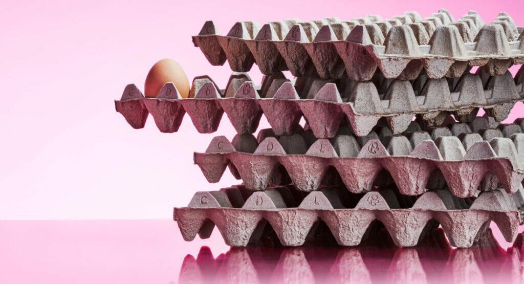 Omni-Pac und HP kooperieren in der Molded Fiber-Produktion