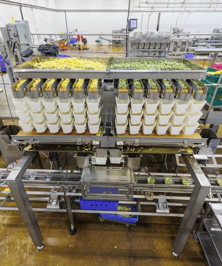 The CCW-R2 twelve-head fresh produce weigher enables fast and gentle processing of cut fruit.