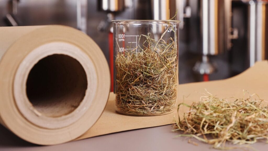 DS Smith Versuch Papierherstellung mit Stroh