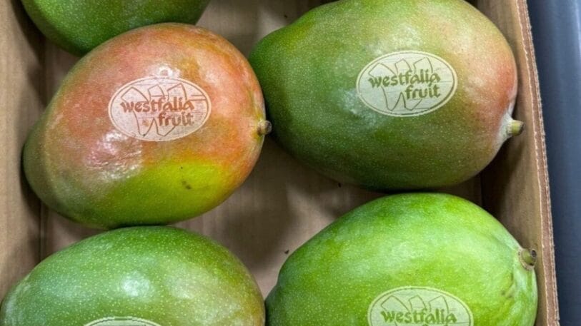 Westfalia Fruit